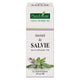 Tinctura salvie tm 50ml - Plantextrakt