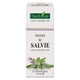 Tinctura salvie tm 50ml - Plantextrakt
