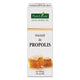 Tinctura propolis 30ml - Plantextrakt