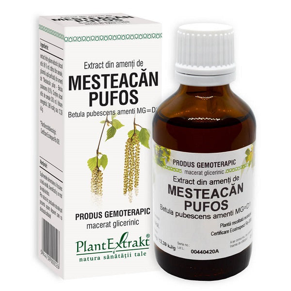 Extract din amenti de mesteacan pufos 50ml - Plantextrakt