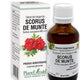 Extract din muguri de scorus de munte 50ml - Plantextrakt