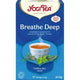 Ceai pentru respiratie profunda eco 1,8gr*17dz - Pronat