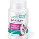 Echinacea extract 30cps - Rotta Natura
