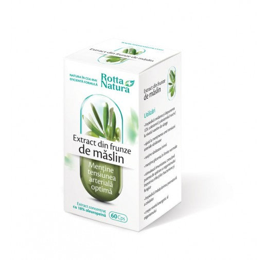 Maslin extract frunze 500 mg, 60 cps-ROTT.00104