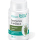Leonorus cardiaca(talpa gastii extract) 30cps - Rotta Natura