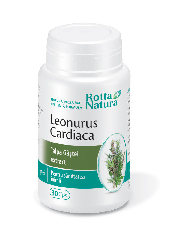 Leonorus cardiaca(talpa gastii extract) 30cps - Rotta Natura