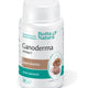 Ganoderma extract 500mg 30cps - Rotta Natura