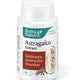 Astragalus extract 30cps - Rotta Natura