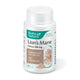 Lion`s mane extract 500mg 30cps - Rotta Natura