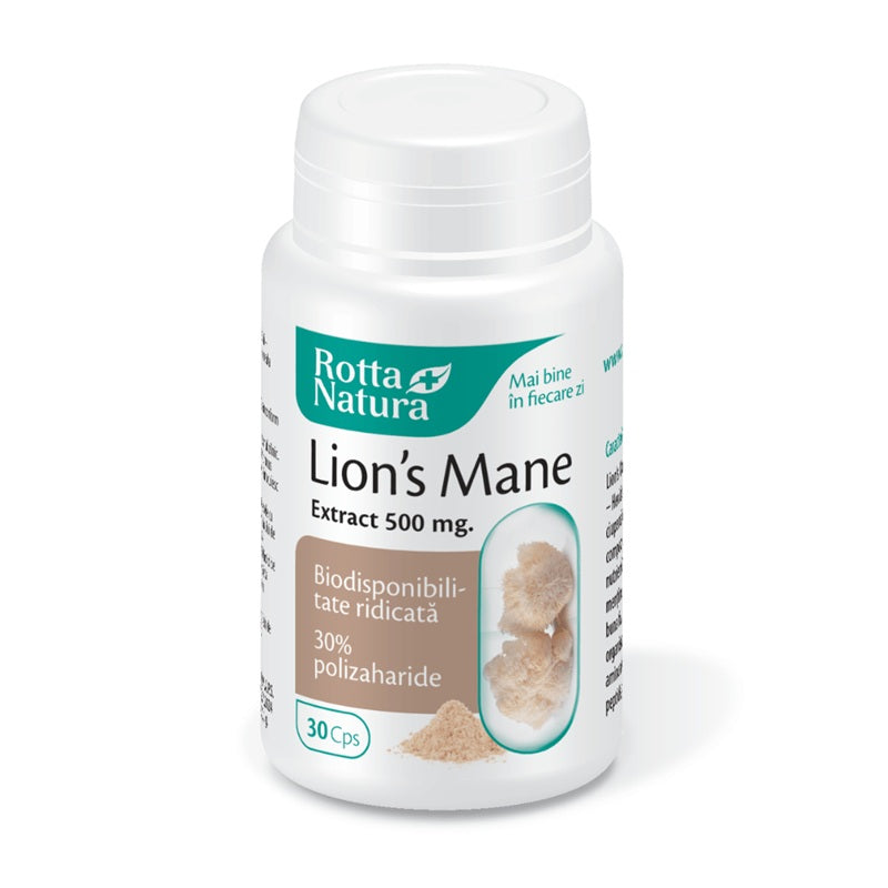 Lion`s mane extract 500mg 30cps - Rotta Natura
