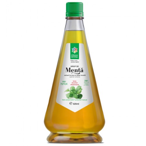 Sirop menta 520ml - Santo Raphael