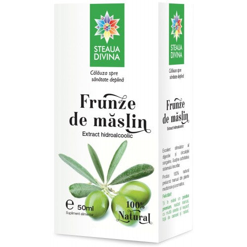 Tinctură din frunze de măslin – extract hidroalcoolic (50 ml) – Santo Raphael - Frunze de măslin