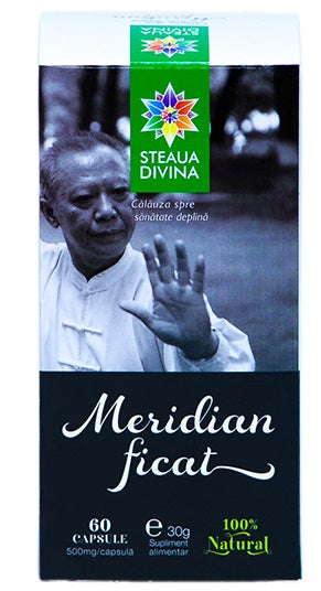 Meridian ficat 500mg 60cps - Santo Raphael