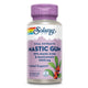 Mastic gum 500mg 45cps vegetale - Secom
