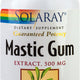 Mastic gum 500mg 45cps vegetale - Secom