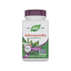 Ashwagandha se 500mg 60cps vegetale - Secom