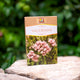Ceai de valeriana 50gr - Stef Mar