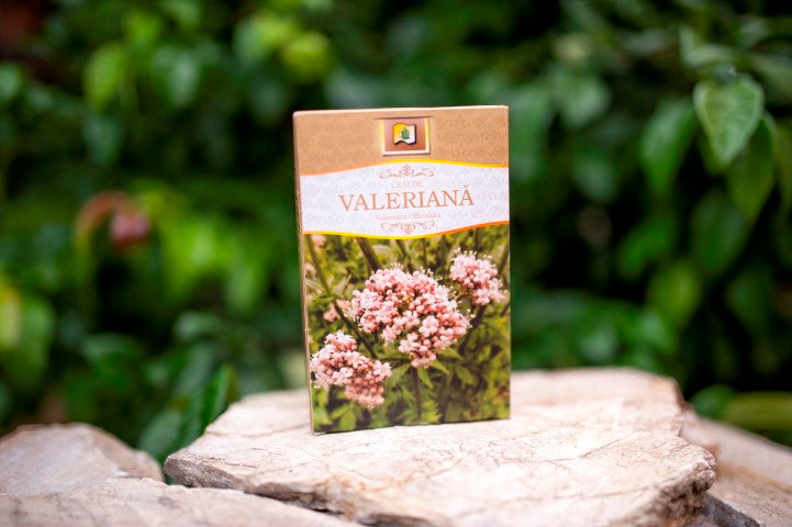 Ceai de valeriana 50gr - Stef Mar