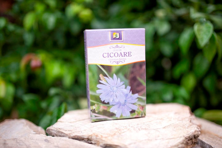 Ceai de cicoare 50gr - Stef Mar