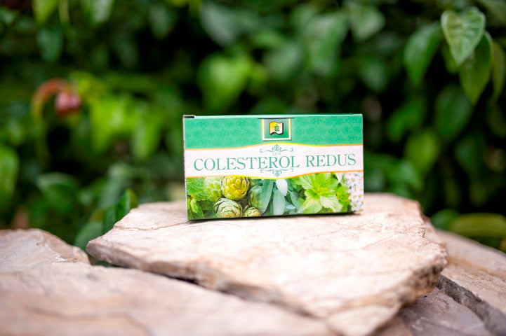 Ceai pentru colesterol 1,5gr*20dz - Stef Mar