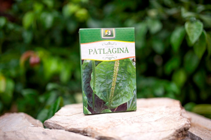 Ceai de patlagina 50gr - Stef Mar