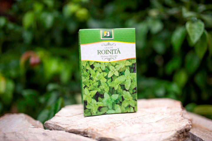 Ceai de roinita 50gr - Stef Mar
