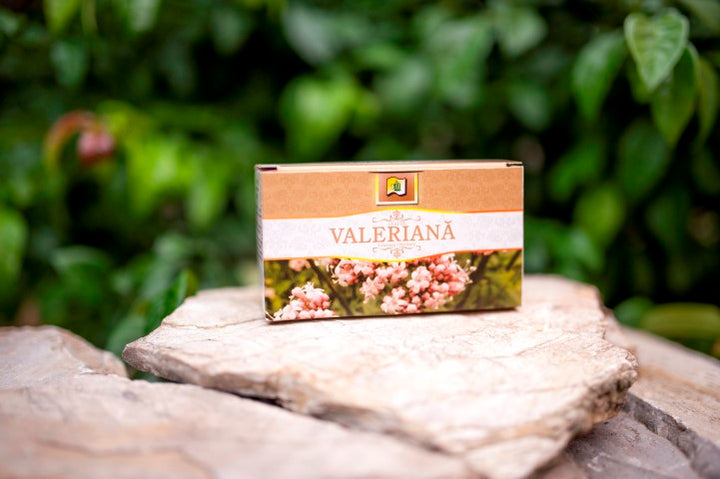 Valeriana, 1,5 gr × 20 doze-STMR.00113