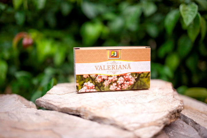 Ceai de valeriana 1,5gr*20dz - Stef Mar