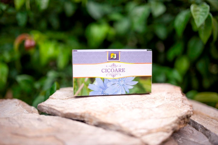 Ceai de cicoare 1,5gr*20dz - Stef Mar