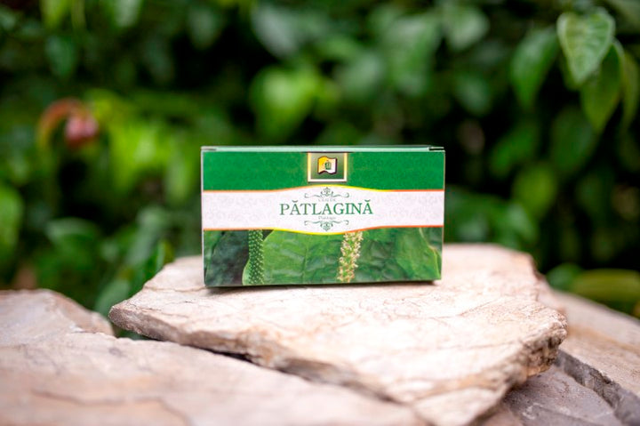 Patlagina, 1,5 gr × 20 doze-STMR.00173