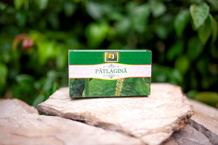 Ceai de patlagina 1,5gr*20dz - Stef Mar
