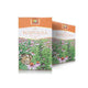 Ceai de echinacea 50gr - Stef Mar