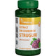 Extract samb. struguri cu resveratrol 90cps vegetale - Vitaking