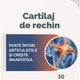 Cartilaj de rechin 30cps - Vita Care