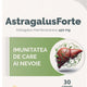 Astragalus forte 30cps - Vita Care